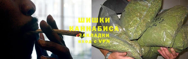 spice Лагань