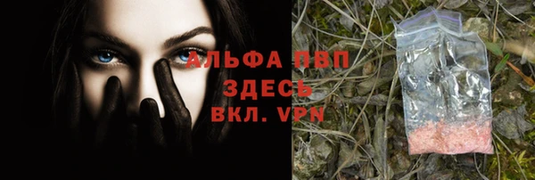 твердый Лабытнанги