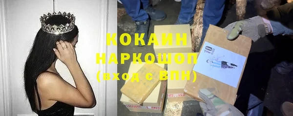 PSILOCYBIN Архангельск