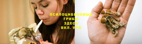 мескалин Ладушкин