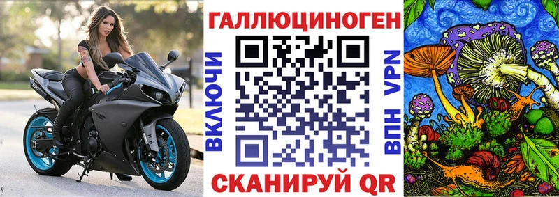 Галлюциногенные грибы Psilocybe  дарнет шоп  Межгорье 