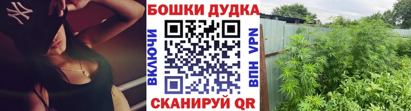 Марихуана Amnesia  Межгорье 